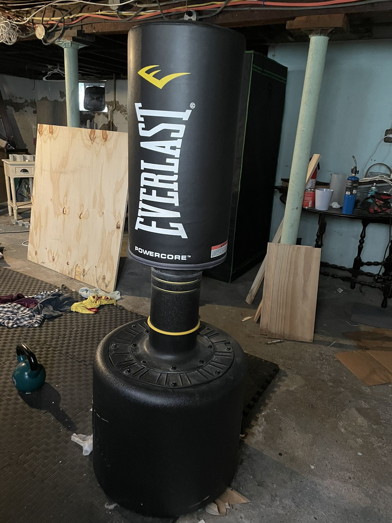 Everlast Adjustable Punching Bag