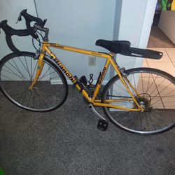 Bianchi Alfana 40" Bike