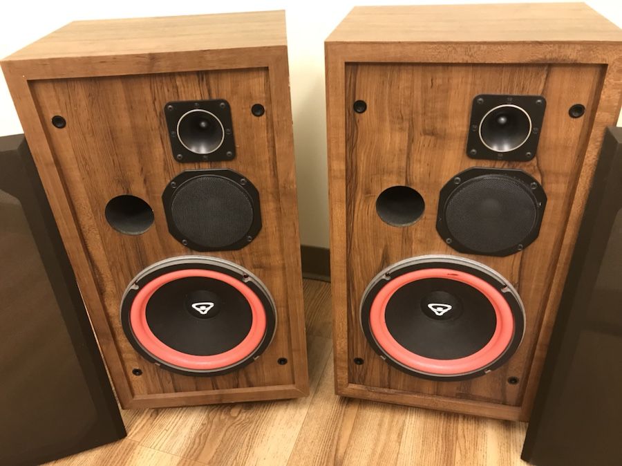 VINTAGE CERWIN VEGA D3 SPEAKERS D-3 WORKS FINE