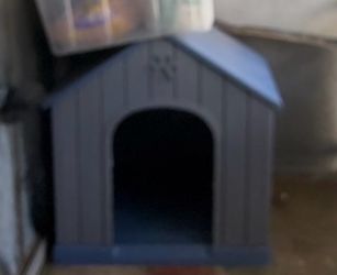 Dog house