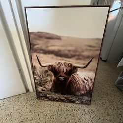 Highland Cow Art frame (measurements In Photos) 