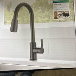 Peerless kitchen Faucet