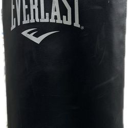 Everlast TA70 MMA Punching Bag