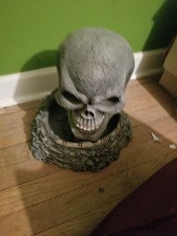 Skull display