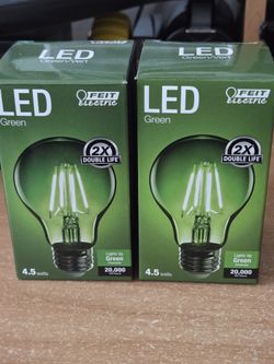 LED GREEN SET OF TWO LIGHT BULBS 