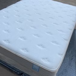 Queen Mattress ONLY
