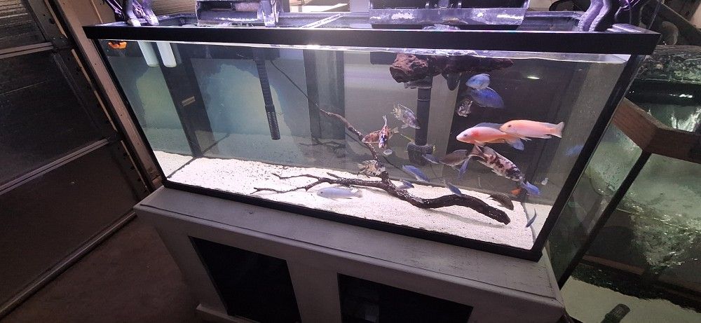 Aquarium