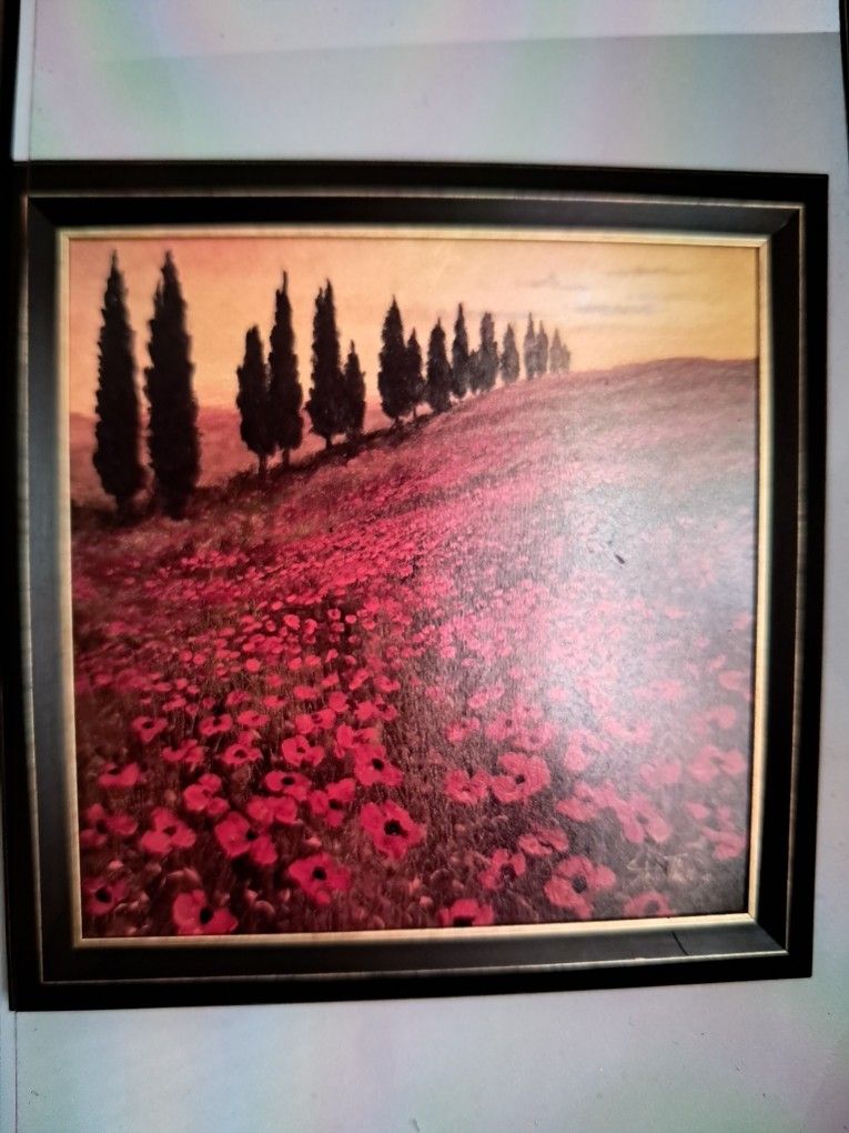 Poppy Painting 29X29inch