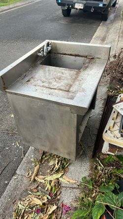 Stainless Steel Sink. Clean Fish Or Restaurant