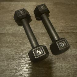 Dumbbells Weights 5 Lb Pounds 
