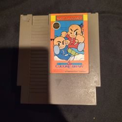 Old Nintendo Game 