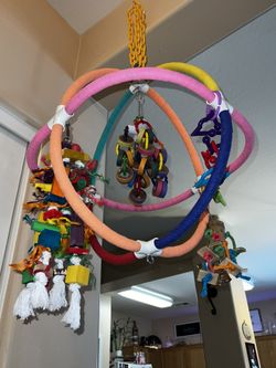 16 Inch Hanging Parrot Orb Bird Perch