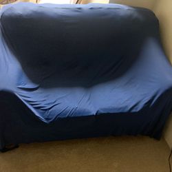 FREE Loveseat Sofa Couch