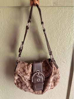 The coach bag
