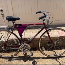 Class 80’s Spalding TE “Blade Cruiser Hybrid Bike 