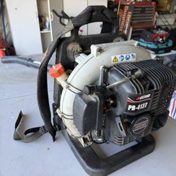 Echo Backpack Leaf Blower And Vacuum
