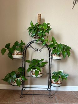 Black Wrought Iron Multi-Tier Plant Stand