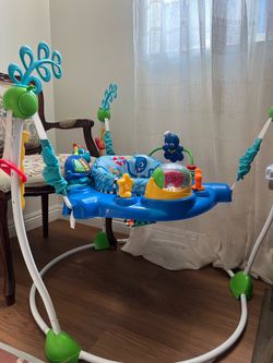 Baby Einstein jumper