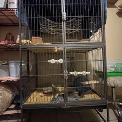 Rodent Cage 