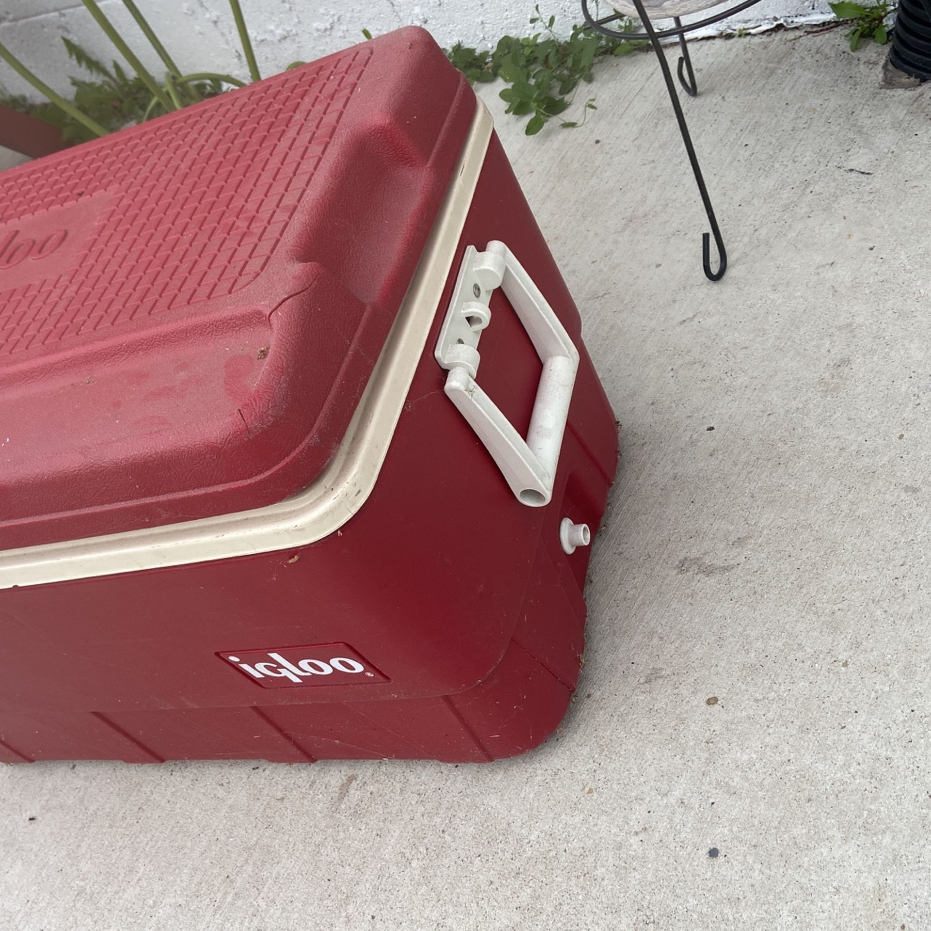 Cooler