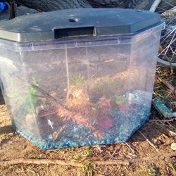 Bata Fish Tank