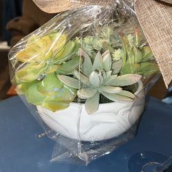 Plastic Succulents In Bowl