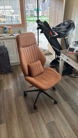 Ergonomic Desk Chair