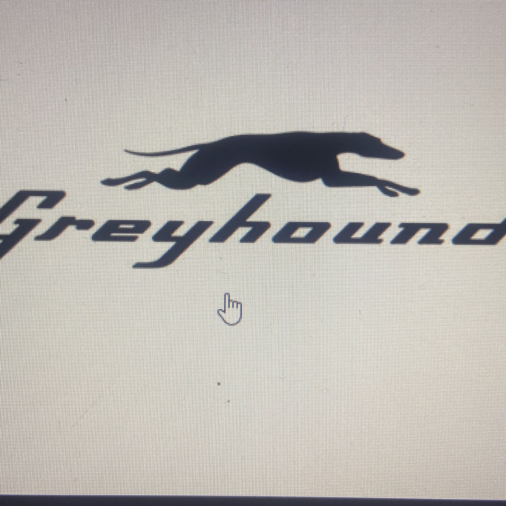 Greyhound Bus Ticket Worth 300$