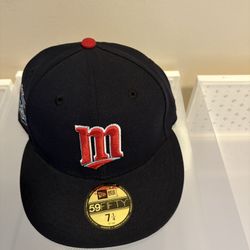 Minnesota Twins Hat 