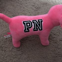 Vs pink dog