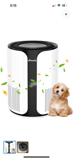 Air Purifier For Large Room Office Portable