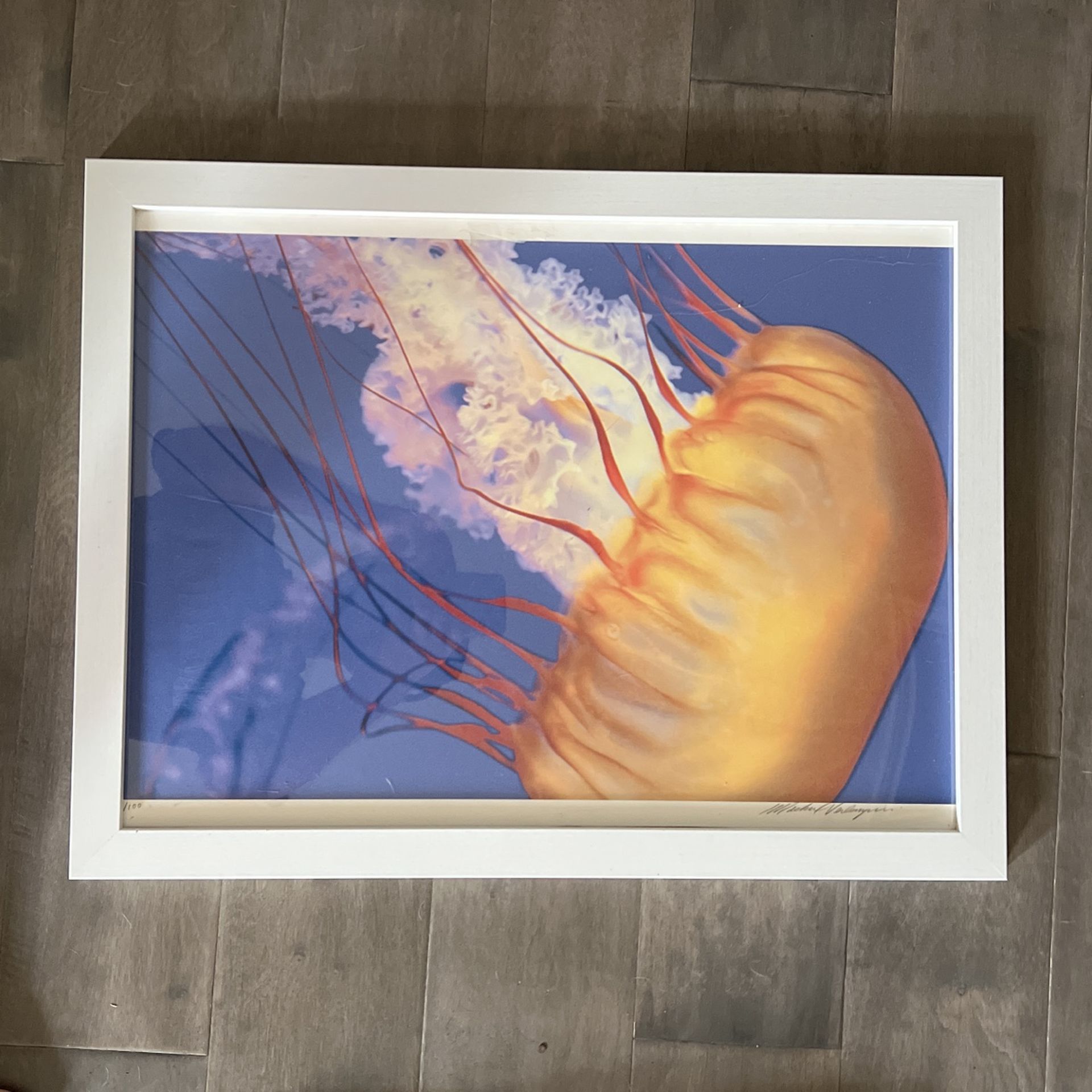 Framed And Signed Jellyfish Art Print 