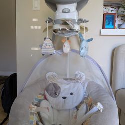 Baby Swing