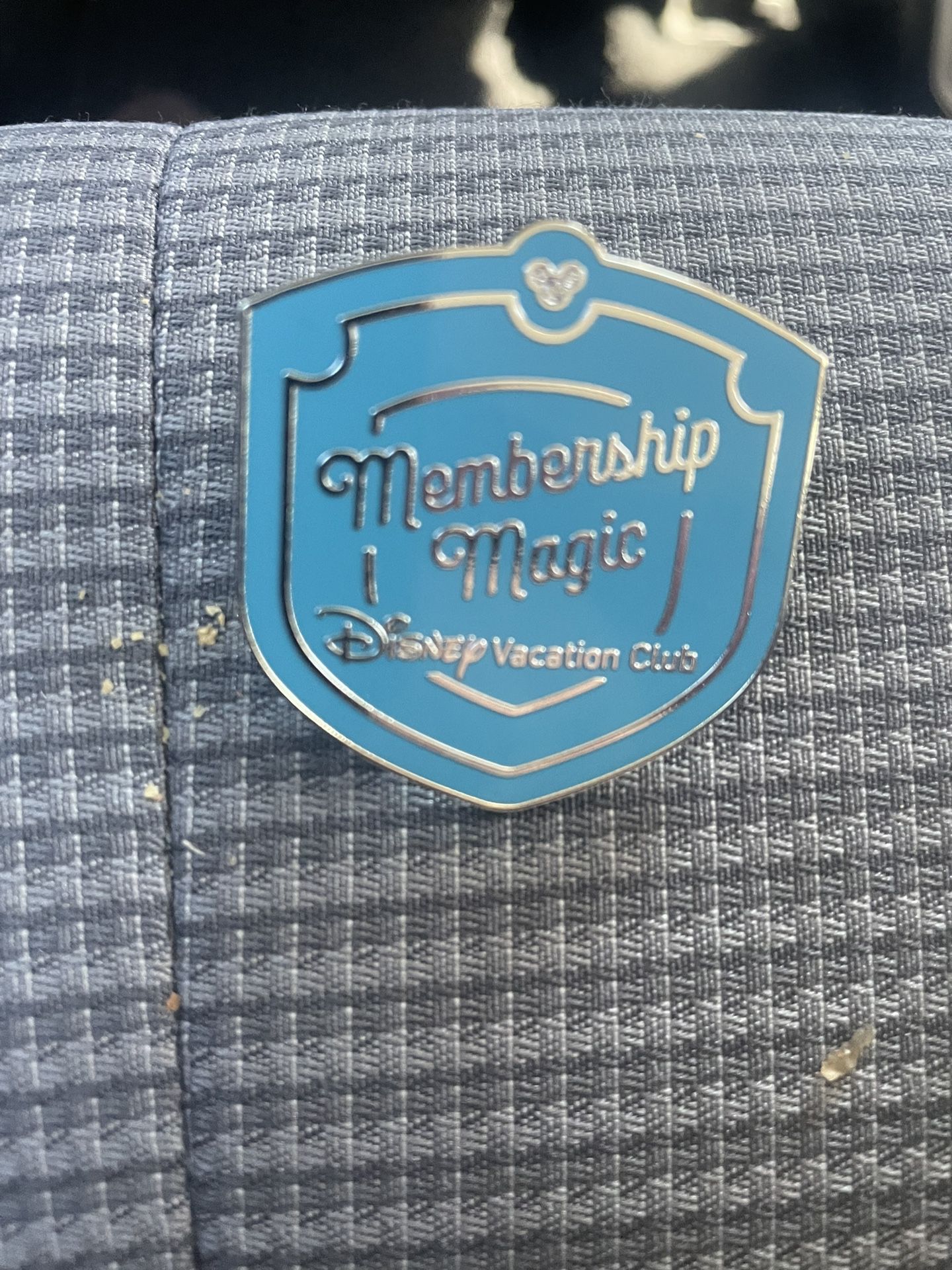 NEW 2024 Disney Vacation Club Pin
