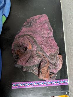 Reptile Hide