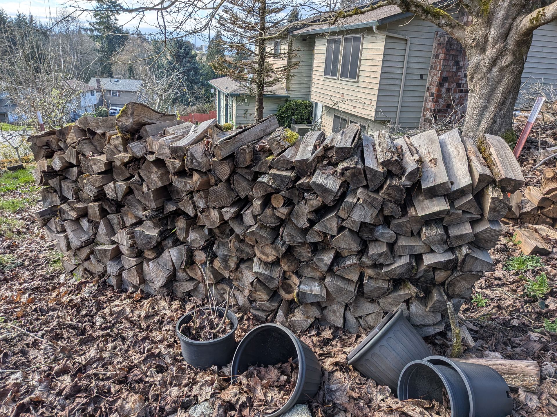 Firewood