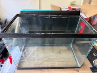 20 Gallon Tall Tank Glass