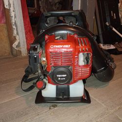 Troy built back pack leaf blower