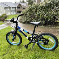 Guardian bikes best sale 16 inch