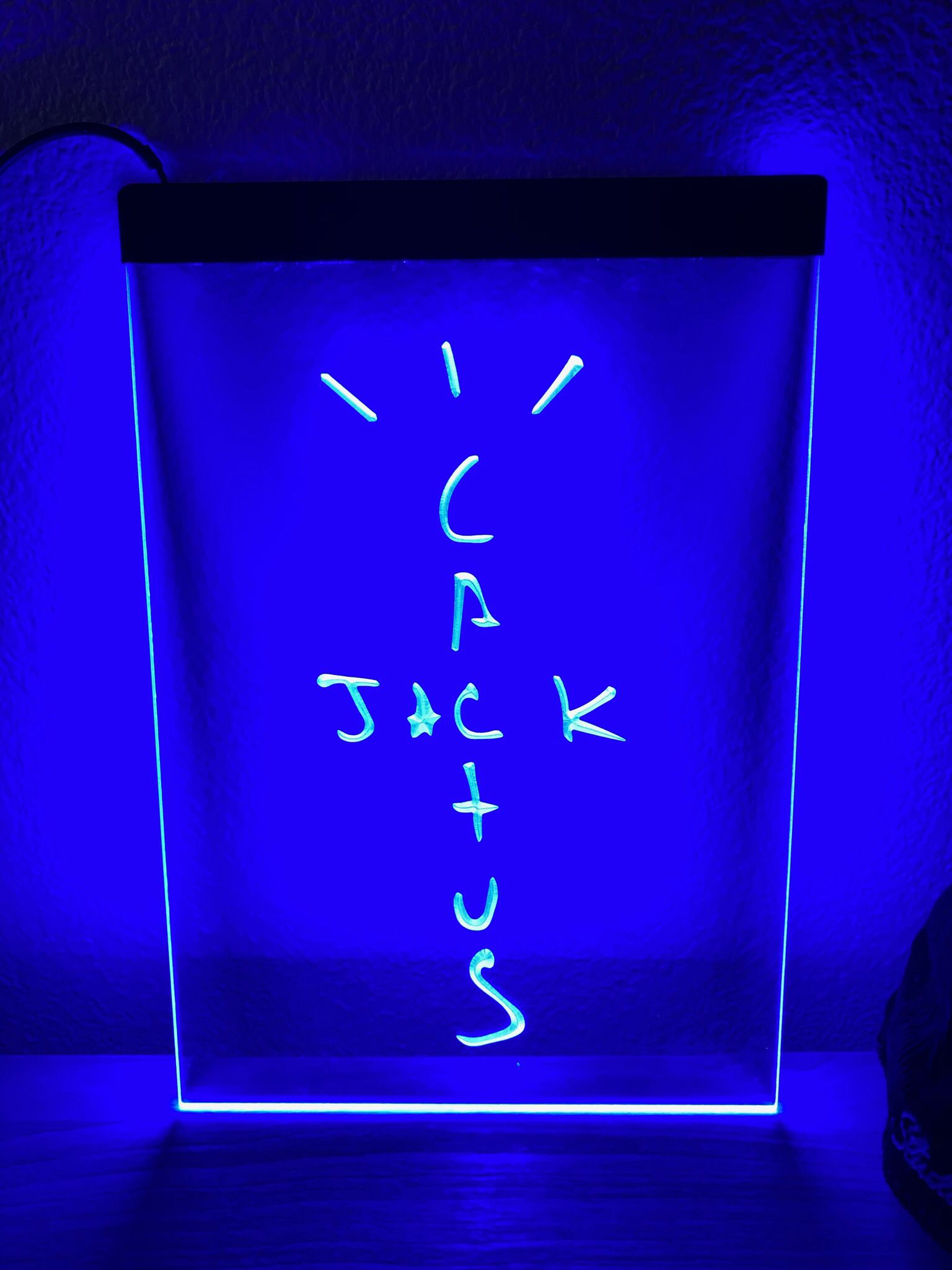 CACTUS JACK LED NEON BLUE LIGHT SIGN 8x12