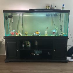 110 Gallon Fish Tank Custom