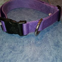 Heavy Duty Dog Collar