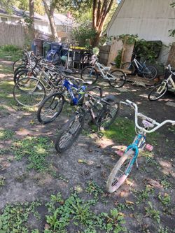 Bicycle different sizes different brands