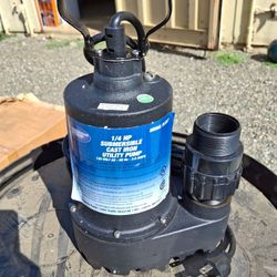 1/4 HP Sump Pump System 