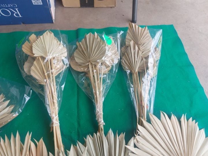 50pc Lot Of Dried Palm Leaves Decor Boho Wedding Natural Dried Palm Fans Dried..