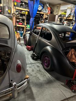 VW Beetle