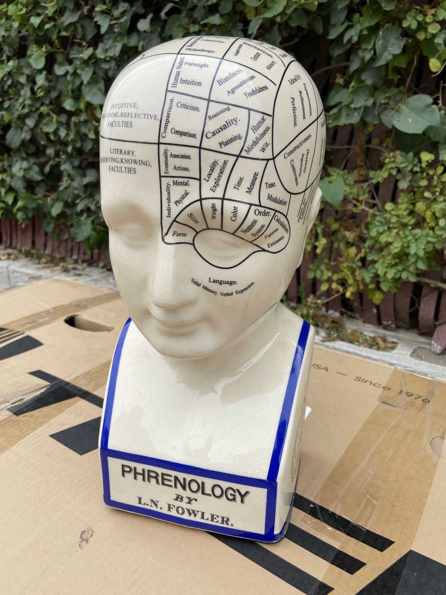 Phrenology Head - Porcelain By L.N. Fowler - Bust Statue Psychology Science - 19th century Styled