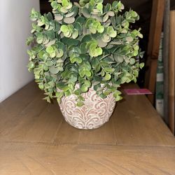 Fake Plant 