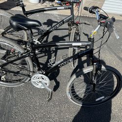 Trek Navigator 3.0 Bike