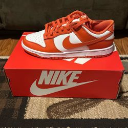 Nike Dunk Low Retro Size 10
